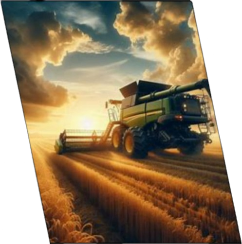 foto da Agricultura