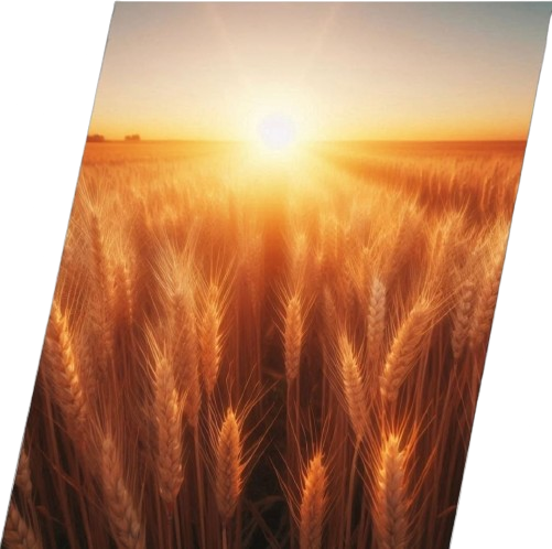 foto da Agricultura